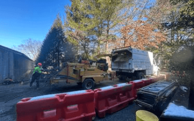 commercial tree care behind barricade - Stein Tree Service